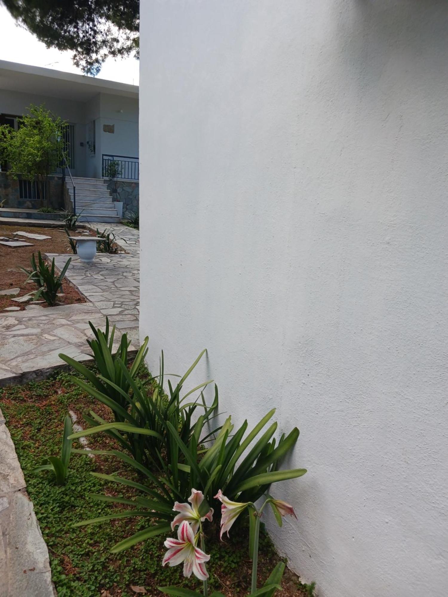 Theros & Trygos Boutique Houses Artemida  Exterior foto