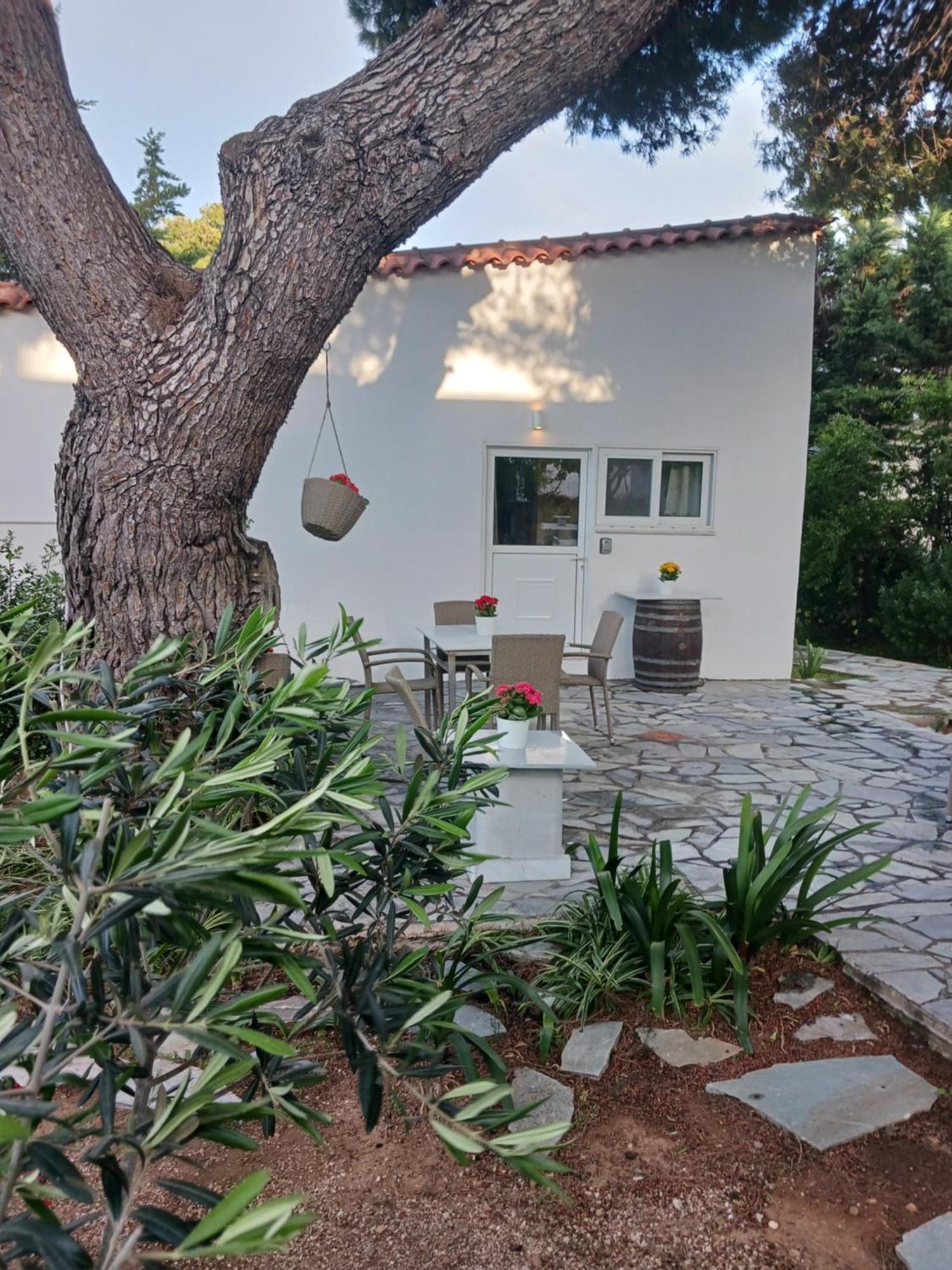Theros & Trygos Boutique Houses Artemida  Exterior foto